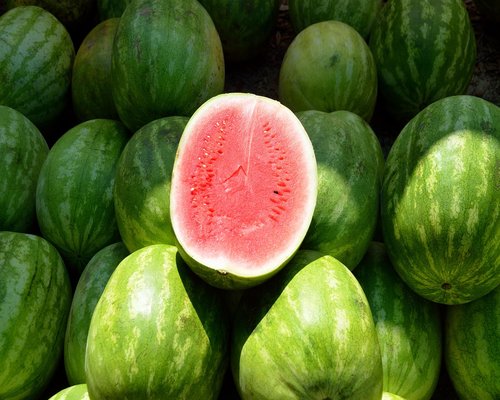 Watermelon slices and bananas on a picnic cloth